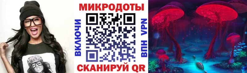 Псилоцибиновые грибы Psilocybe Купить Белореченск
